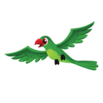 parrot